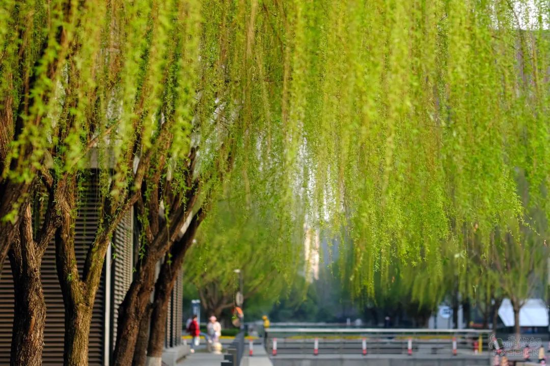 安徽芜湖：低空经济加速“起飞”