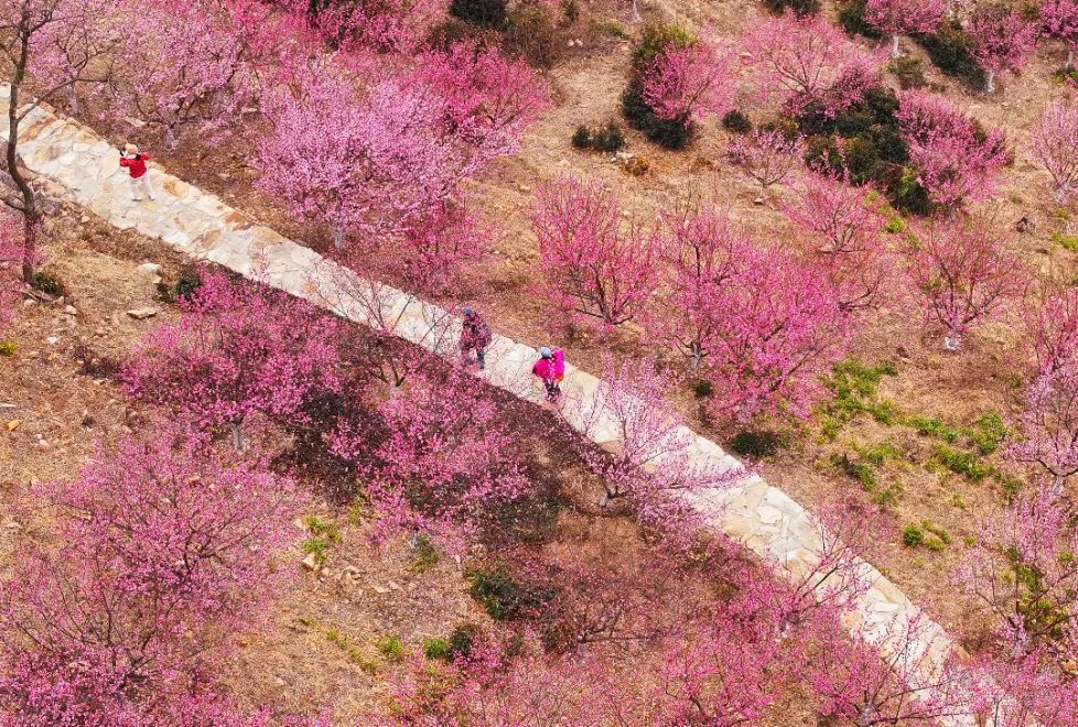 泽连斯基：必须在今秋末结束冲突