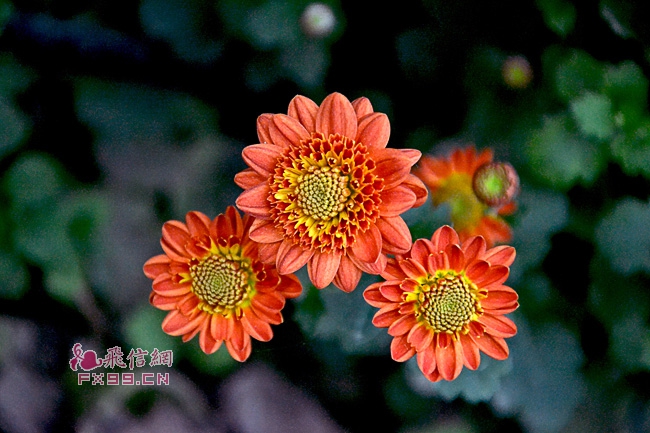“摩羯”破坏力远超2014年“威马逊”！ 登陆越南强度迅速减弱，海南未来天气→